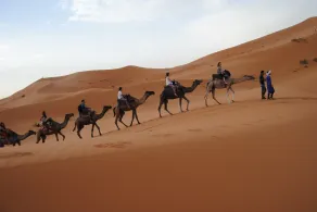 Camel Trekking Camp - Image 2