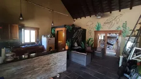 Urbanos Jungle Hostel - Image 3