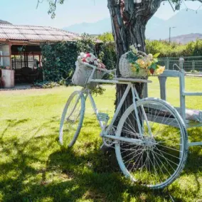 Rancho Elquino - Image 2