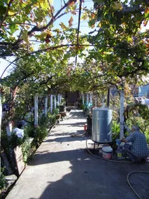 Florians Guesthouse - Image 3