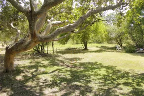 Burkes' Paradise - Image 4
