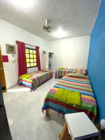 Amigos Hostel Cozumel - Image 4