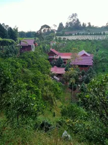 Gintribu Guest House Sibayak - Image 2