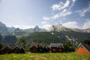 TRIBÜ - Image 5