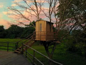 Blue Zone Retreat - Image 5