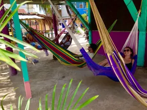 Tropical Oasis Hostel - Image 2