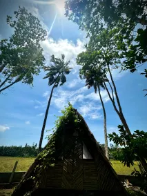 Apimehe Hostels - Image 4