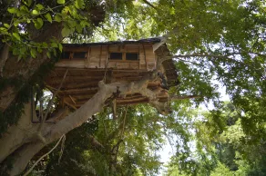Yala Shenu Safari Tourist Inn - Image 3