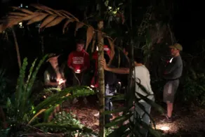 Crocodylus Hostel - Image 3