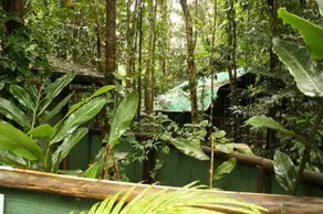 Crocodylus Hostel - Image 5