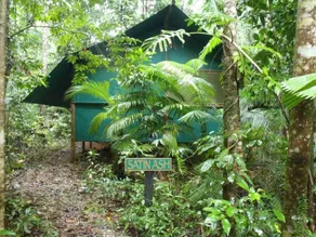 Crocodylus Hostel - Image 4