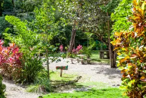 Nosara Beach Hostel - Image 3