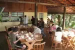 HI Holandes - Image 4