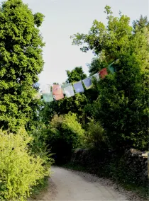Nama Stay - Image 5