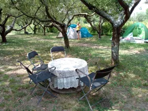Rainbow Garden - Image 4