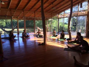 Blue Zone Retreat - Image 3