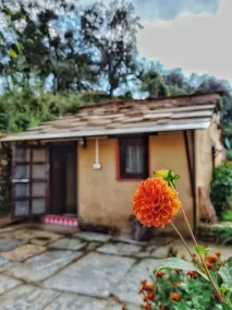 Sharda Stays Binsar Himalayas - Image 5