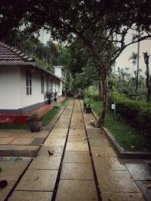Rumi Villa - Image 5