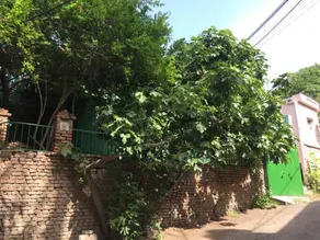 Green House Hostel - Image 3