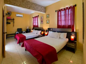 Hostal Casa El Ceramista - Image 3