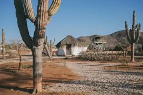 Baljalla - Image 4