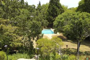 Burkes' Paradise - Image 5