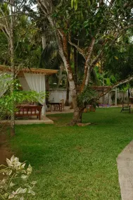 Summer House - Image 2