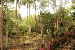 Finca la Argentina - Image 2