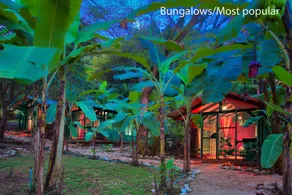 Jungle's Edge Hotel - Image 2