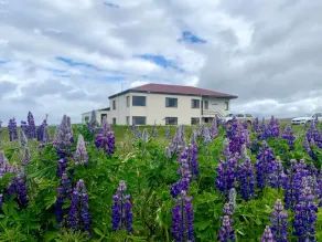 Saeberg HI Hostel - Image 4