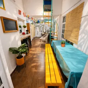 Barsan Hostel – CDMX Backpacker Experience - Image 2