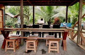Mama Orbe Family Eco-Farm - Image 5