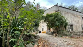 Albergue del Oso - Image 3
