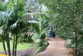 Melaleuca Surfside Backpackers - Image 3