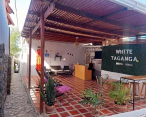 White Taganga  - Image 2