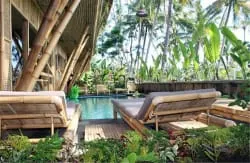Luxury Bamboo Hostel - Image 5