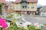 Travellers’ Haven Hostel Bled - Image 5