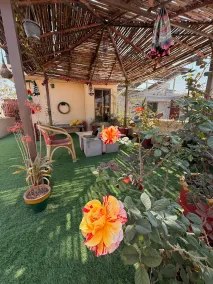 Coyote Den Travelers Hostel Islamabad - Image 3