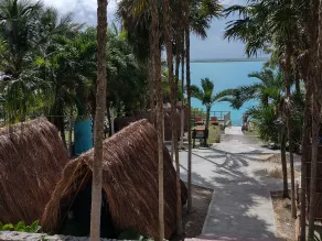 Asana Bacalar - Image 2