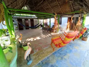 Hostal Cultural La Candelaria  - Image 2