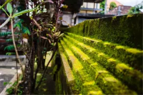 Tunjung Bungalows - Image 4