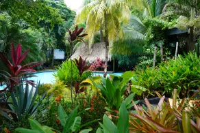 Bonga House - Image 2