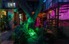 Casa del Árbol Xochimilco - Image 2