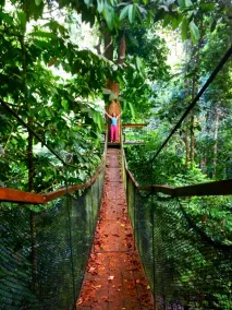 Corcovado Jungle Hostel - Image 4