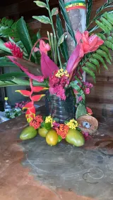 Earthfamily Farms - Image 2