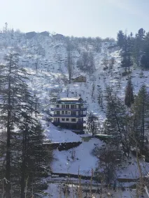 Curious Cat Cottage, Naggar - Image 3