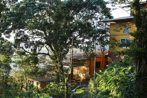 Lost and Found Jungle Hostel - Image 4