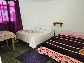 Hostal The Friends - Image 4