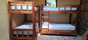 Totoco - Jungle Dorm - mix - Image 3