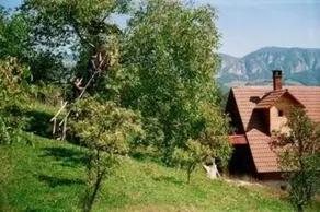 Poarta Zmeilor Guesthouse - Image 2